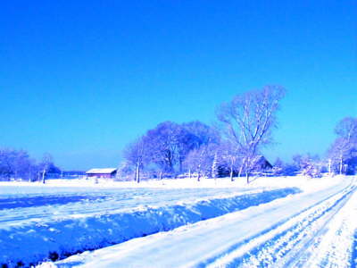 das Haus im Winter